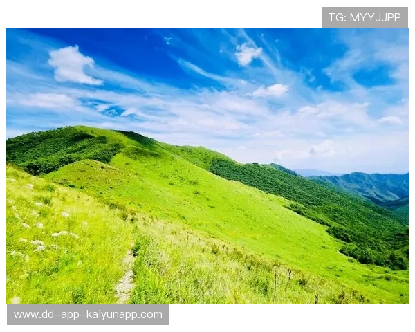世界登山青年导师长期追踪研究第三期论文征稿启事，世界登山第一人是谁
