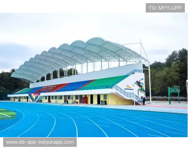 足球场馆临时看台观众视野评估工具上线，足球场看台是什么意思
